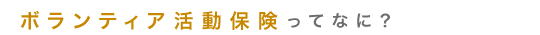 ボランティア活動保険