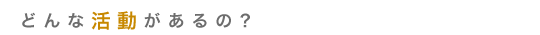 どんな活動があるの？
